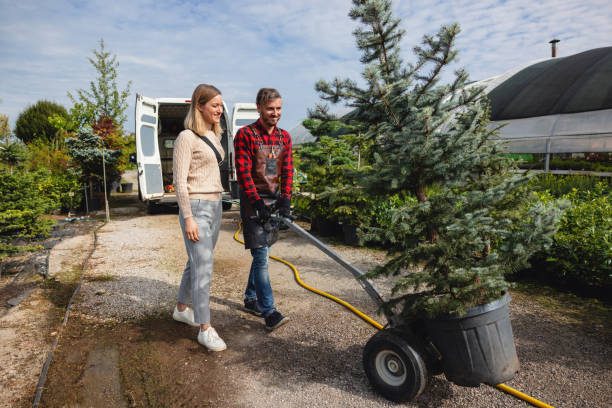 Best Tree Branch Trimming  in Langley Park, MD